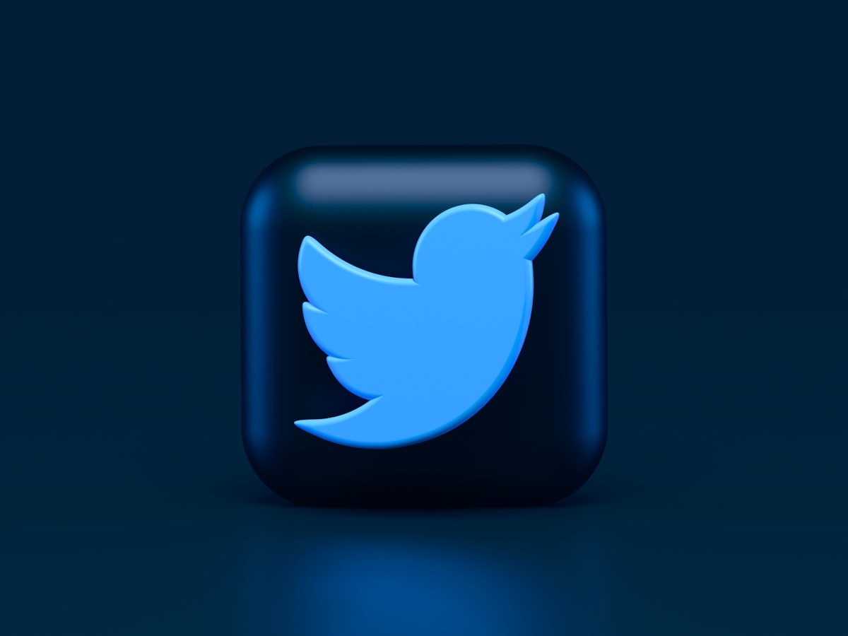 Social-Media Fake Followers & Inflated Numbers